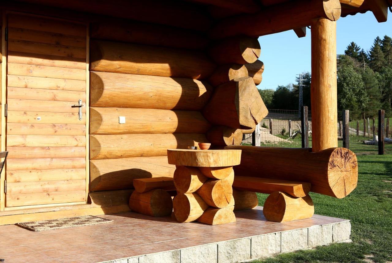 Villa Na Samote Ve Srubu Plzeň Exterior foto